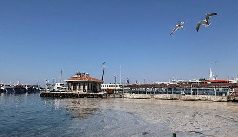 Müsilaj incelemesinin ilk sonuçları: Pandemi de etkilemiş, sudaki canlılar strese girmiş - Resim : 2