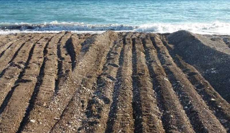 Antalya'da sahile giren iş makineleri caretta caretta yuvalarını ezdi - Resim : 4