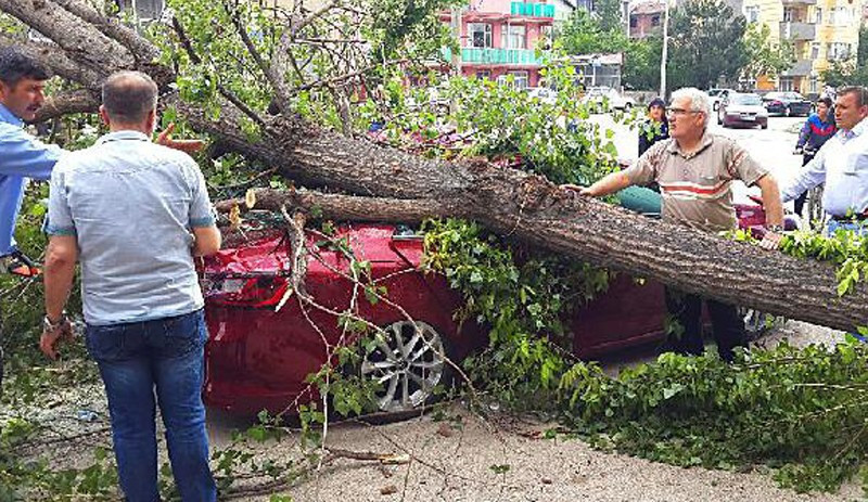 Fırtına çatıları uçurdu, ağaçları devirdi - Resim : 1