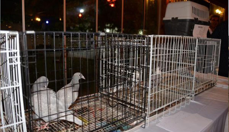 İstanbul’dan Diyarbakır’a kadar yarıştılar - Resim : 1