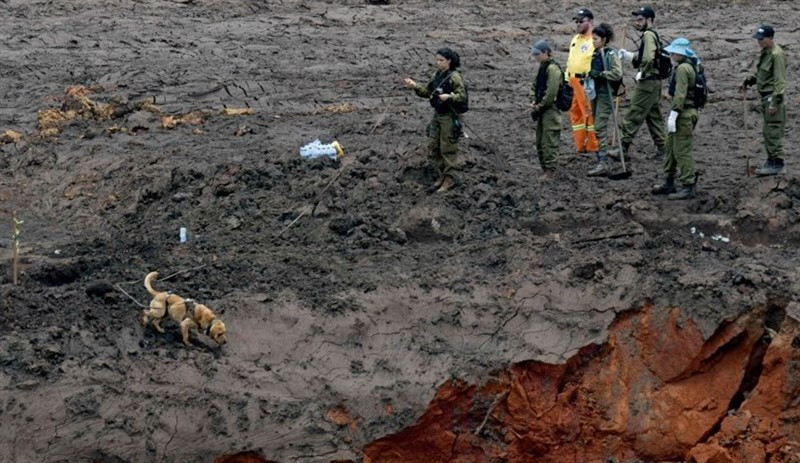 Brezilya'da bilanço ağırlaşıyor: Ölü sayısı 110'a çıktı - Resim : 3