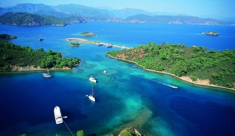 İş adamının arazisine yol açmak için koruma altındaki Cennet Adası'nda ağaç katliamı - Resim : 3