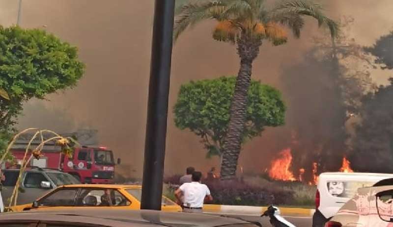 Manavgat'ta dört ayrı noktada orman yangını çıktı - Resim : 1