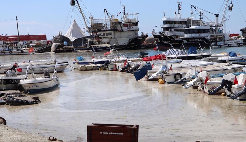 Bakanlığın temizlediği Tekirdağ sahilleri yeniden müsilajla kaplandı - Resim : 2