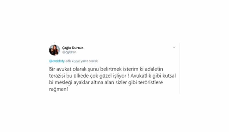 Başsavcı eşinin kardeşiyle gündemde: Ruhsatı olmadan avukat olarak tanıttığı iddiasına barodan uyarı geldi - Resim : 2