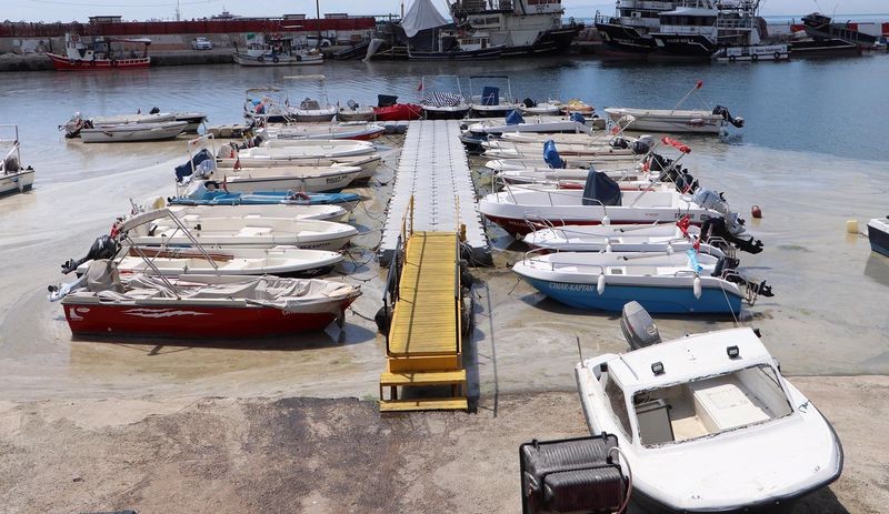 Bakanlığın temizlediği Tekirdağ sahilleri yeniden müsilajla kaplandı - Resim : 1