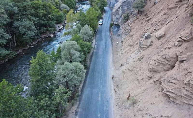 Milli parktaki yaban hayvanları, araçlar ve piknikçiler nedeniyle suya ulaşamıyor - Resim: 7