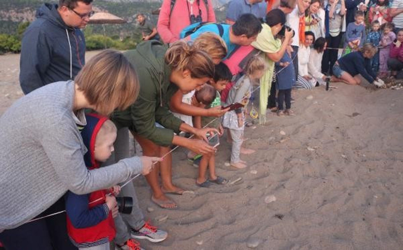 3 bin 640 yavru caretta caretta denizle buluştu - Resim : 1