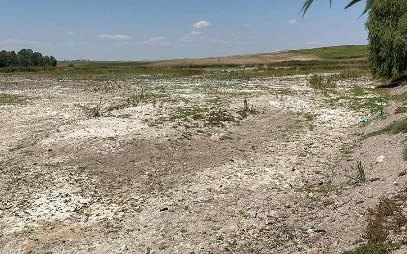 Bir zamanlar içinde yüzülen Pınarbaşı akarsuyu tamamen kurudu, birçok canlı öldü - Resim : 3
