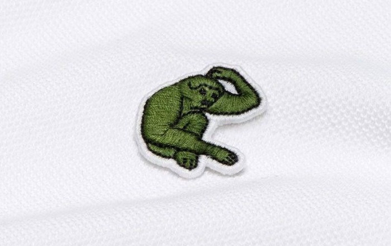 Lacoste'un timsah logosu değişiyor - Resim: 8