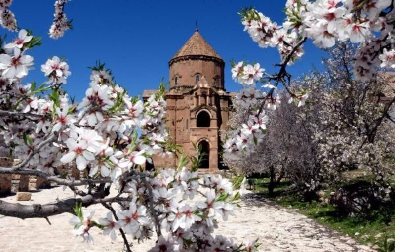 Akhtamar çiçeklendi - Resim: 2