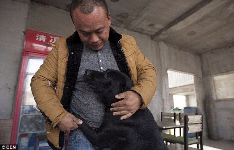 Çinli milyoner sokak köpeklerini kurtarıyor - Resim: 2