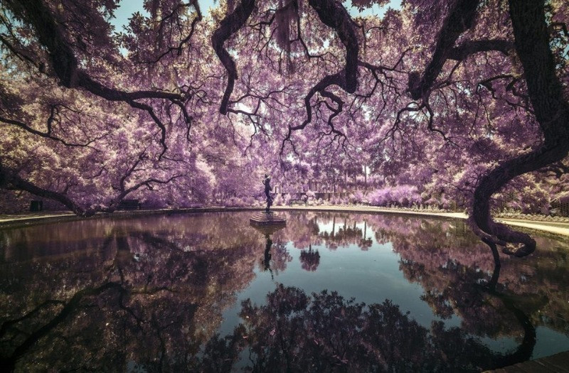 2018 Sony Dünya Fotoğraf Ödülleri - Resim: 17