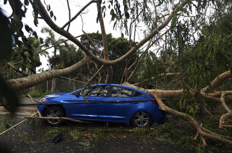 Fotoğraflarla Irma kasırgası - Resim: 11