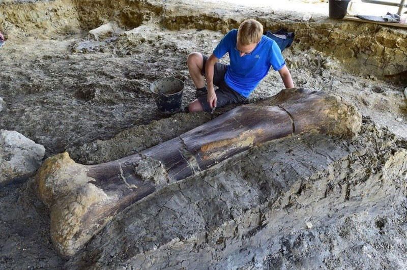 500 kilo ağırlığında dinozor kemiği bulundu - Resim: 5