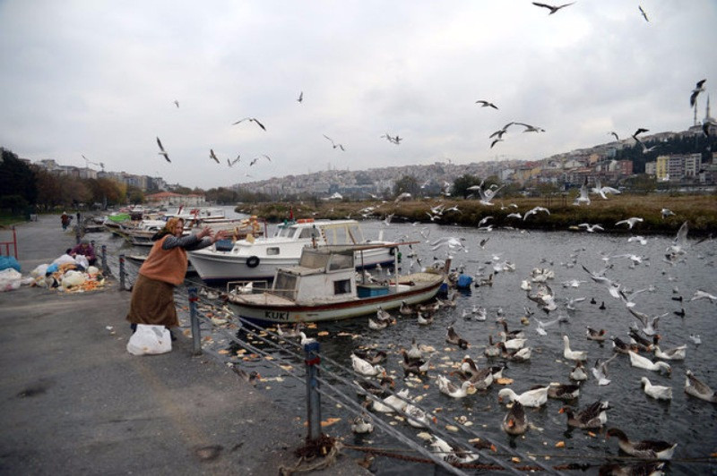 Sokak Hayvanlarını Besleyen Behice Teyze ve Kızı - Resim: 8