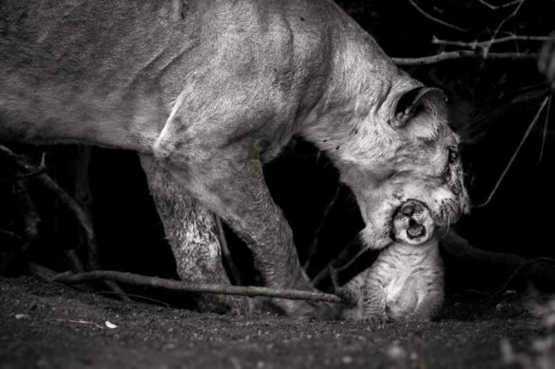 National Geographic Seyahat Fotoğrafları - Resim: 2