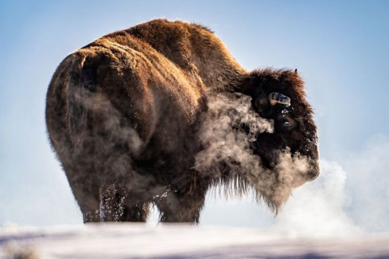 National Geographic Seyahat Fotoğrafları - Resim: 15
