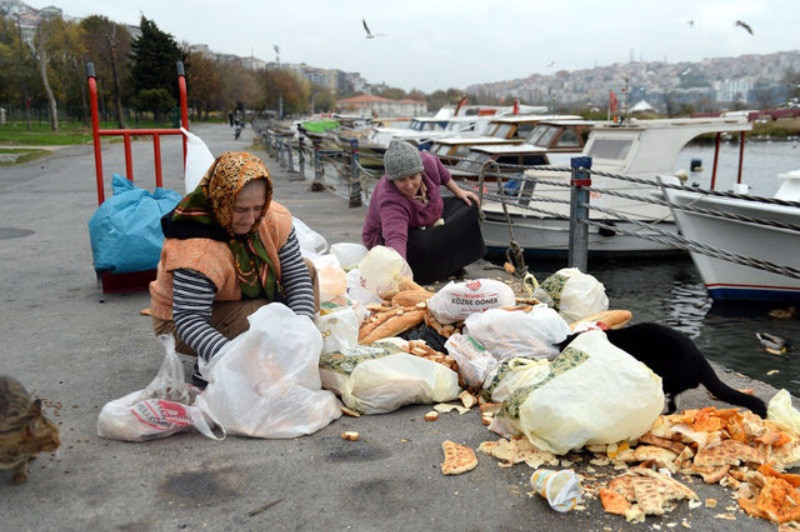 Sokak Hayvanlarını Besleyen Behice Teyze ve Kızı - Resim: 7