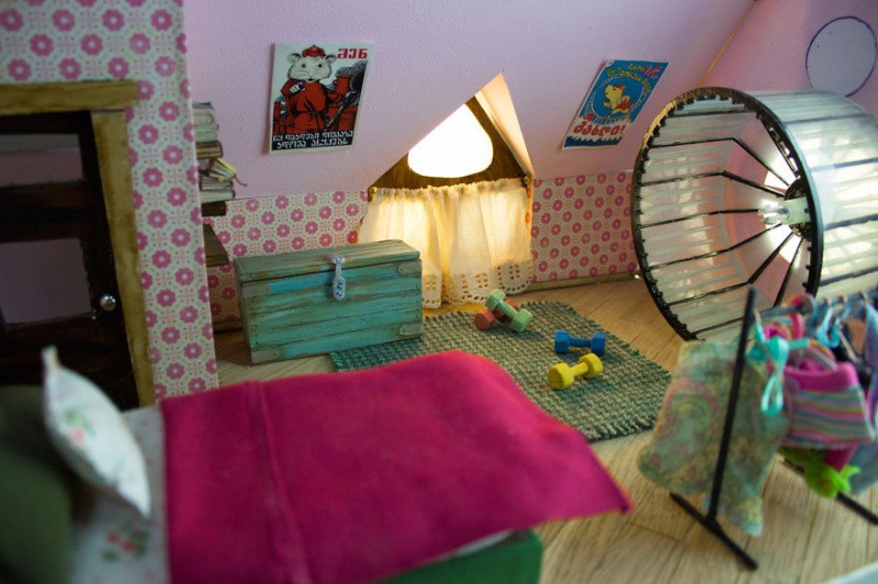 Hamster dünyasına hoş geldiniz - Resim: 10