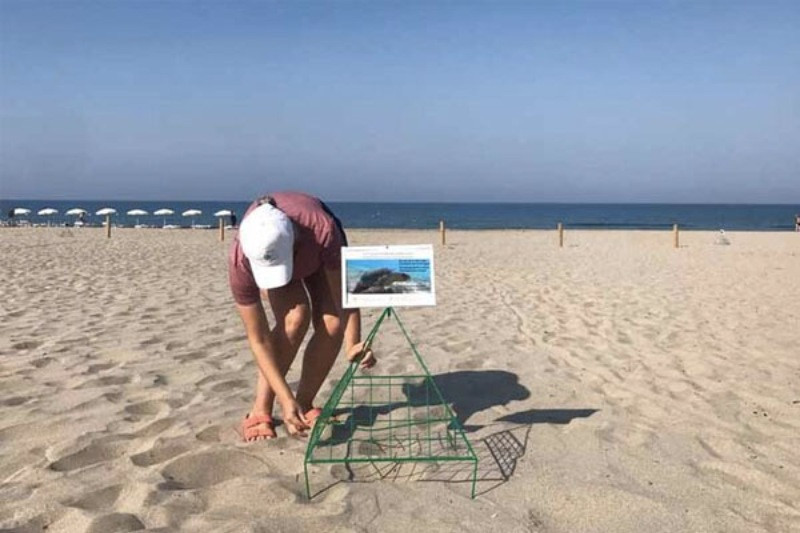 Patara Plajı'nda 86 caretta caretta yuva yaptı - Resim: 5