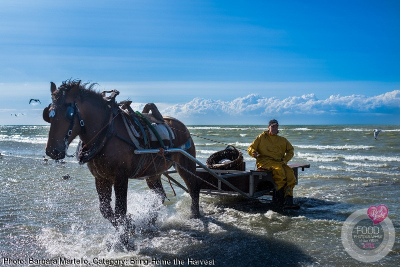 2018'in en iyi yiyecek fotoğrafları - Resim: 4