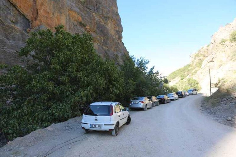 Milli parktaki yaban hayvanları, araçlar ve piknikçiler nedeniyle suya ulaşamıyor - Resim: 2