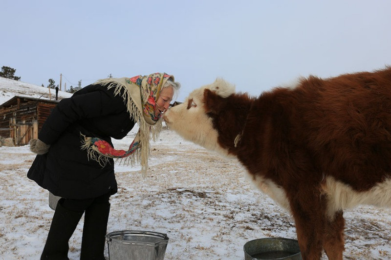 Sibirya'da tek başına - Resim: 1