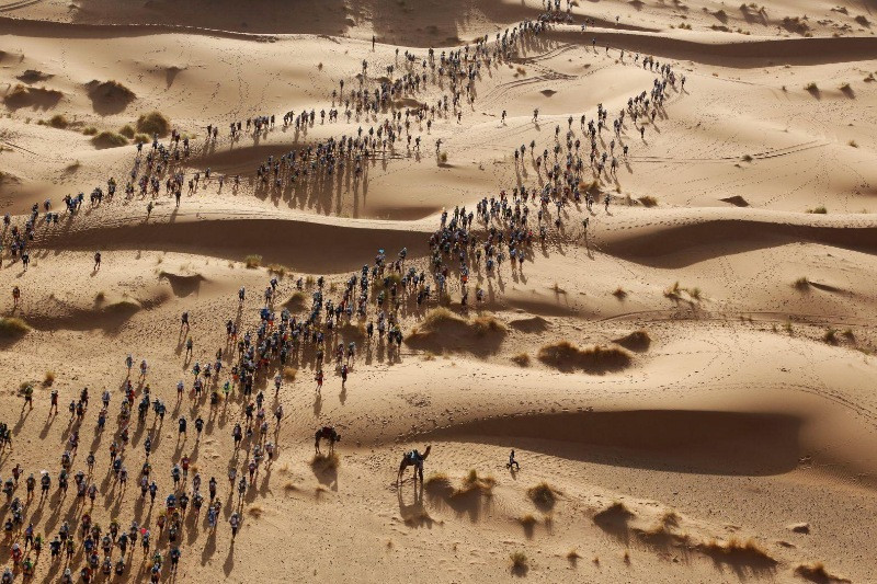 World Press Photo Awards - Resim: 17
