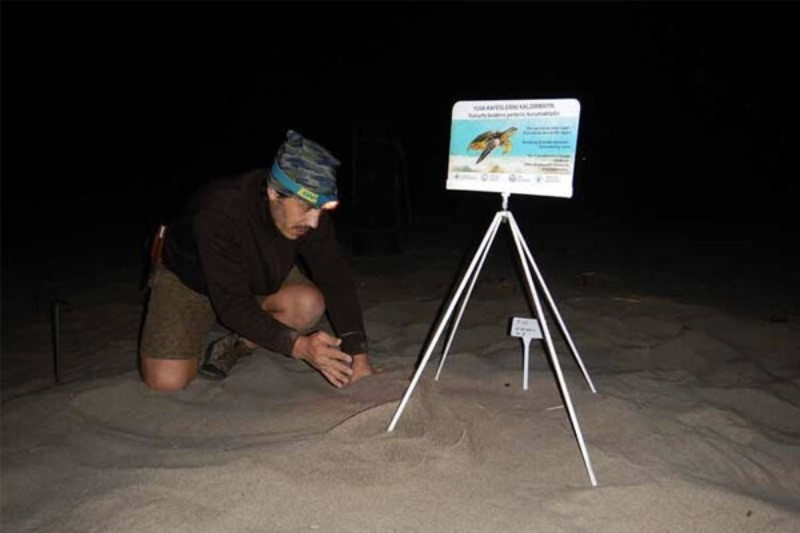 Patara Plajı'nda 86 caretta caretta yuva yaptı - Resim: 4