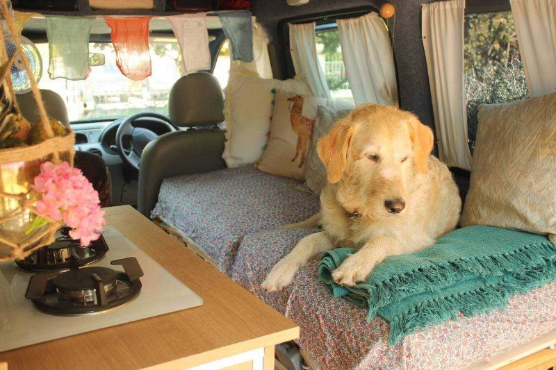 Köpeğiyle dünya turuna çıktı - Resim: 10
