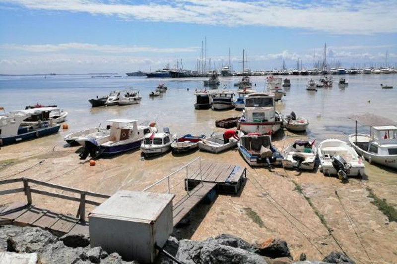DOĞADER: Marmara Denizi, Marmara bölgesinin foseptik kuyusuna döndü - Resim : 1