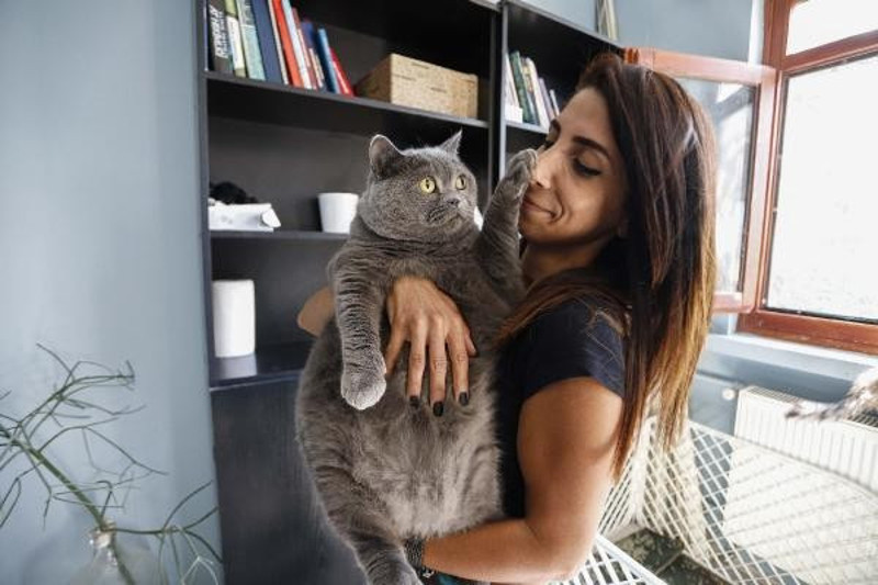 Obez kedi, egzersiz ile 4,5 kilo verdi - Resim : 1