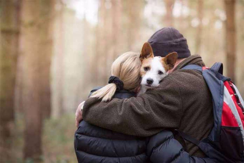 Yılın köpek fotoğrafçılığı yarışması sonuçlandı - Resim: 3