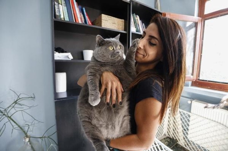 Obez kedi, egzersiz ile 4,5 kilo verdi - Resim : 1