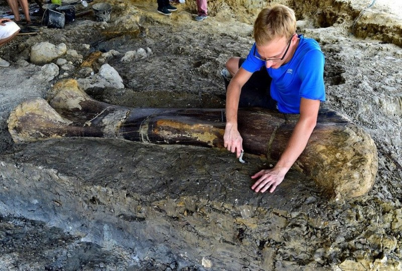 500 kilo ağırlığında dinozor kemiği bulundu - Resim: 3