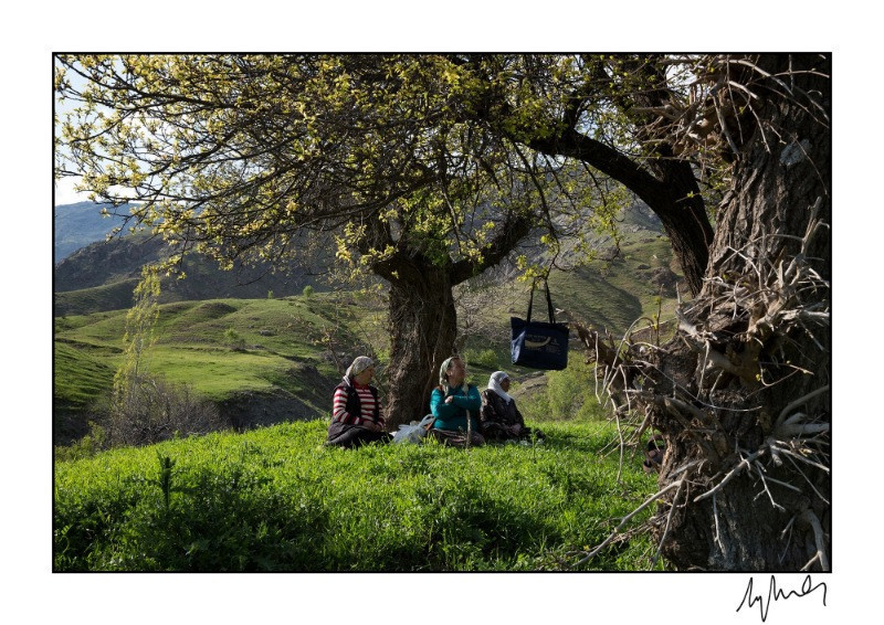 Nar Photos'tan yılın fotoğrafları - Resim: 10