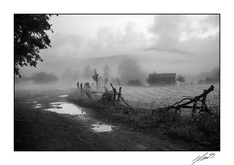Nar Photos'tan yılın fotoğrafları - Resim: 5