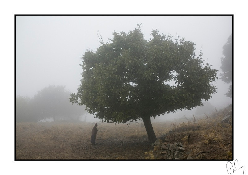 Nar Photos'tan yılbaşı özel edisyonu - Resim: 15