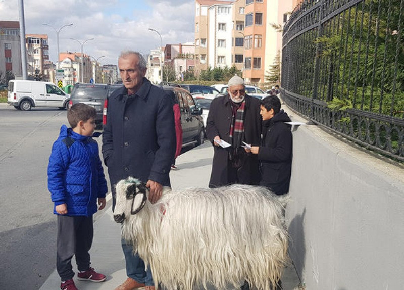 Sandık başından farklı görüntüler - Resim: 8