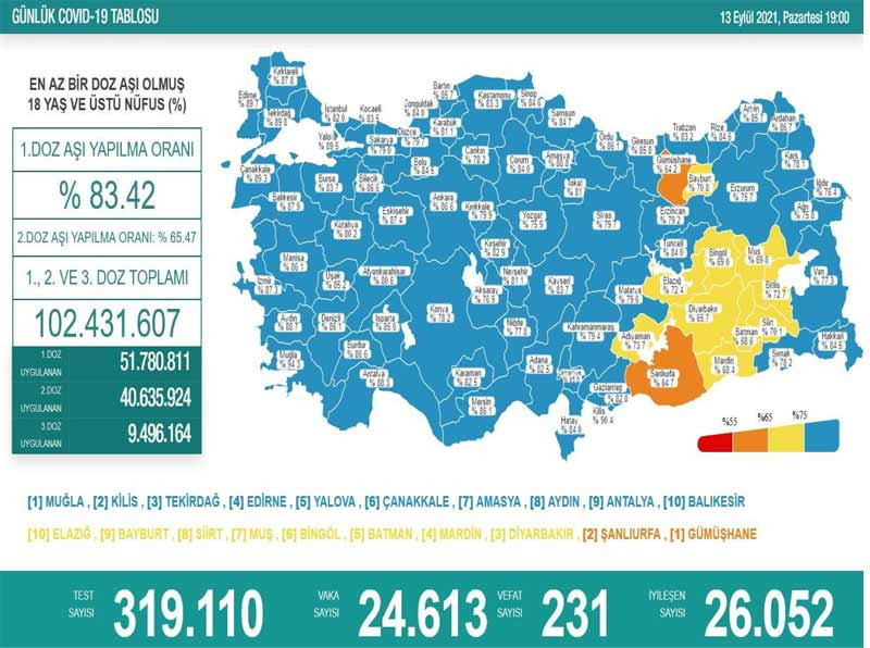 Güncel koronavirüs tablosu: 24 bin 613 yeni vaka, 231 vefat - Resim : 1