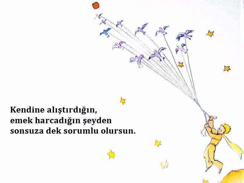 Küçük Prens'ten öğütler - Resim: 5