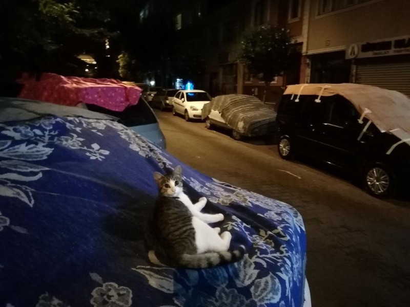 Dolu paniği vatandaşı şaşırttı - Resim: 12