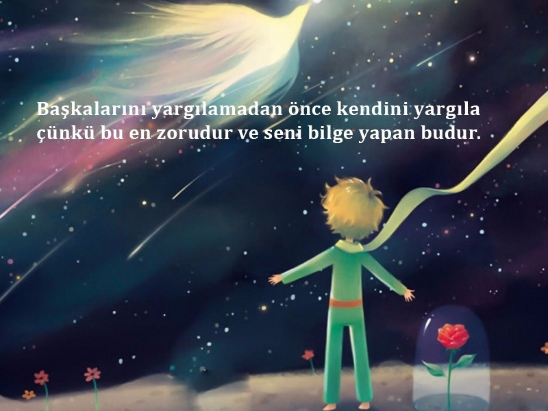Küçük Prens'ten öğütler - Resim: 10