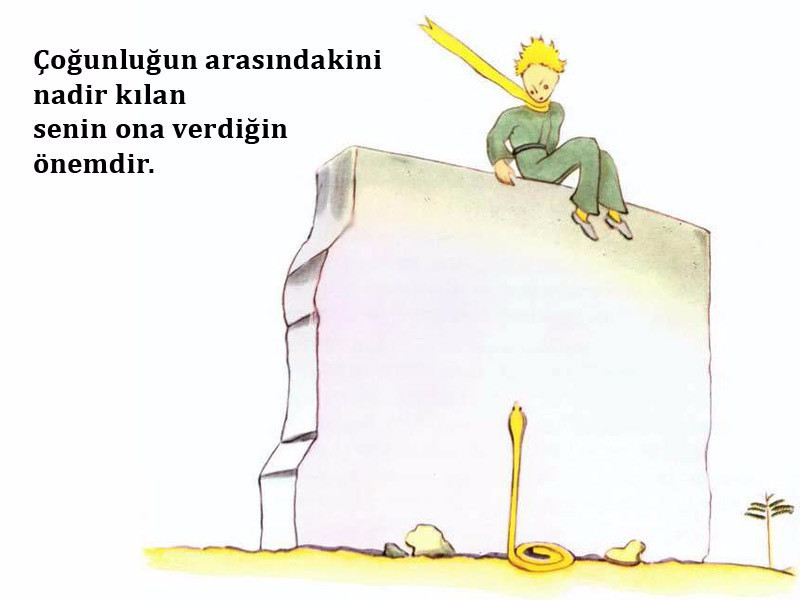 Küçük Prens'ten öğütler - Resim: 9