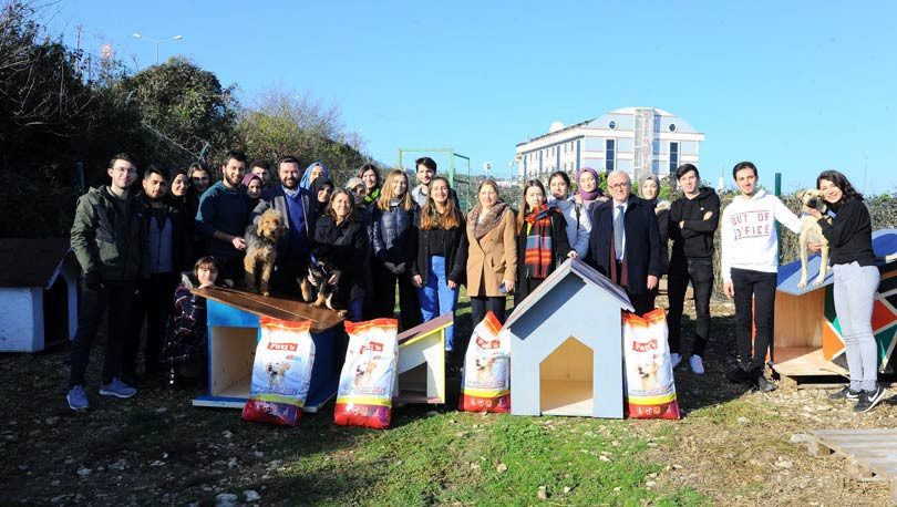 Üniversiteliler, sokak hayvanları için kulübeler yaptı - Resim : 3