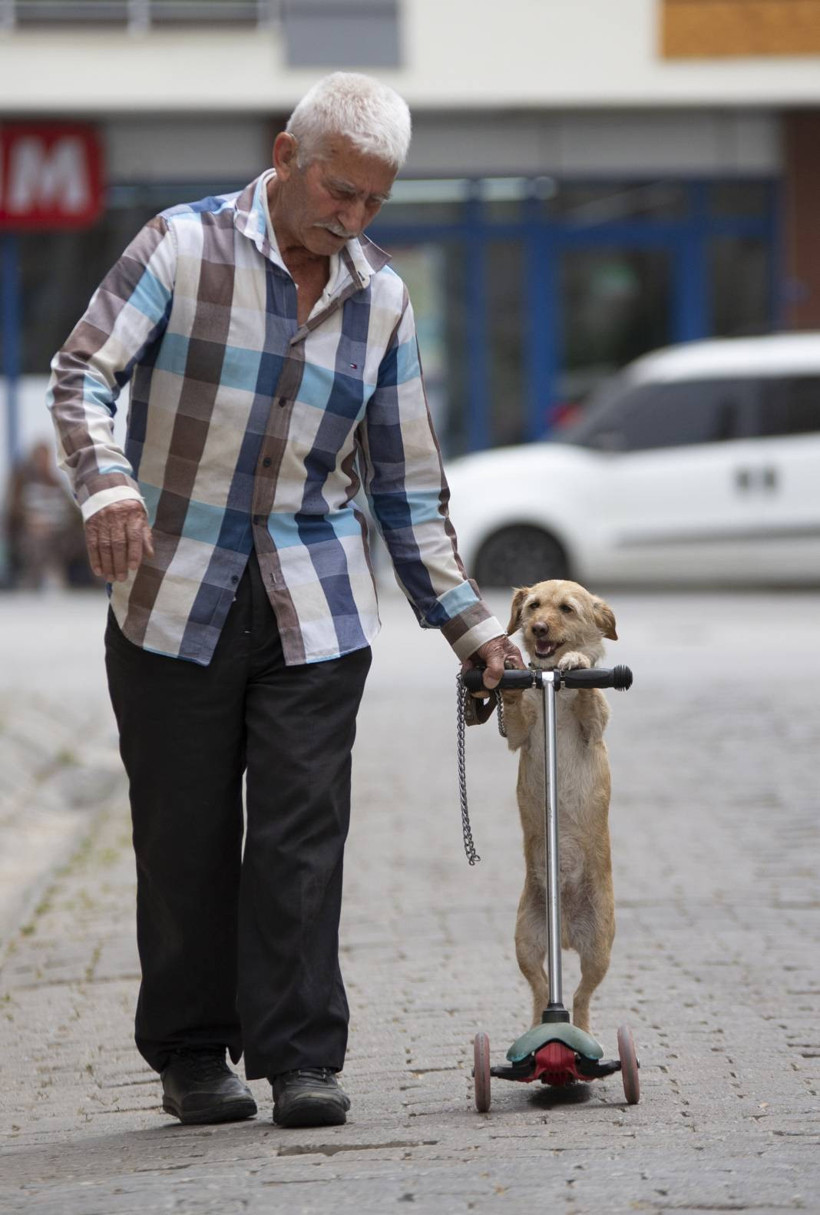 Köpeğini skuterle gezdirip salıncağa bindiriyor: 'Yedi torun var bir de bu sekiz oldu' - Resim: 2