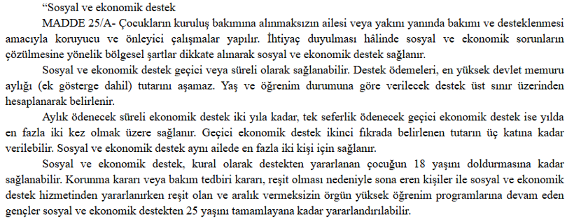 Resmi Gazete&rsquo;de Yayınlandı: &Ccedil;ocuğu olanlara 13 bin TL destek - Resim : 1