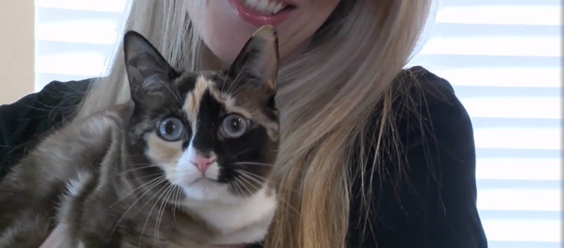 kedi4.jpg