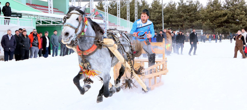 Erzurum'da atlı kızak şampiyonası - Resim: 1